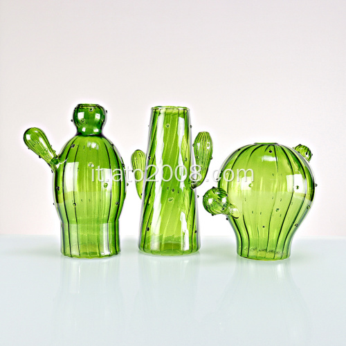 Set di vasi di cactus in vetro